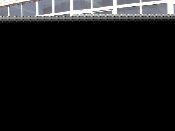 黑鎢礦濕式磁選機(jī)